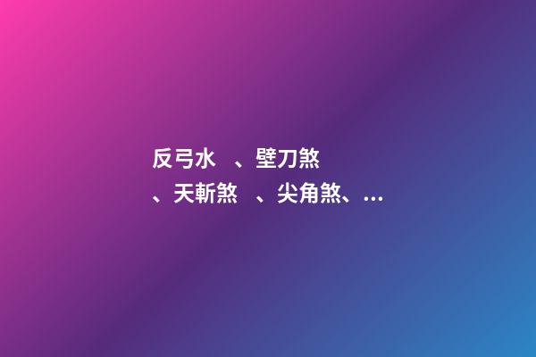 反弓水、壁刀煞、天斬煞、尖角煞、反光煞等煞氣的化解方法